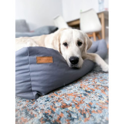 Cama sofá para un perro con una almohada cómoda